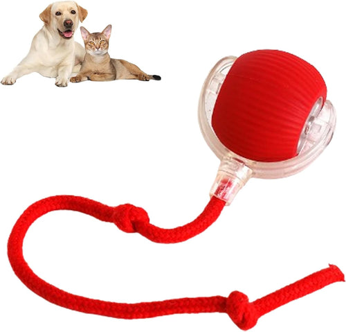 360  Smart Automatic Rolling Pet Ball