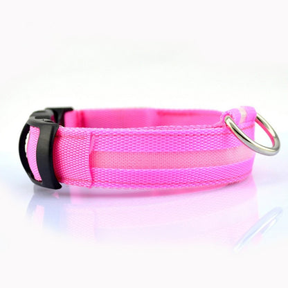 LED glow dog collar for night walks and low-light visibility