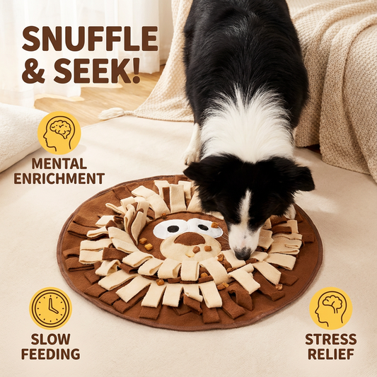 Puzzle Feeding Mat for Pets