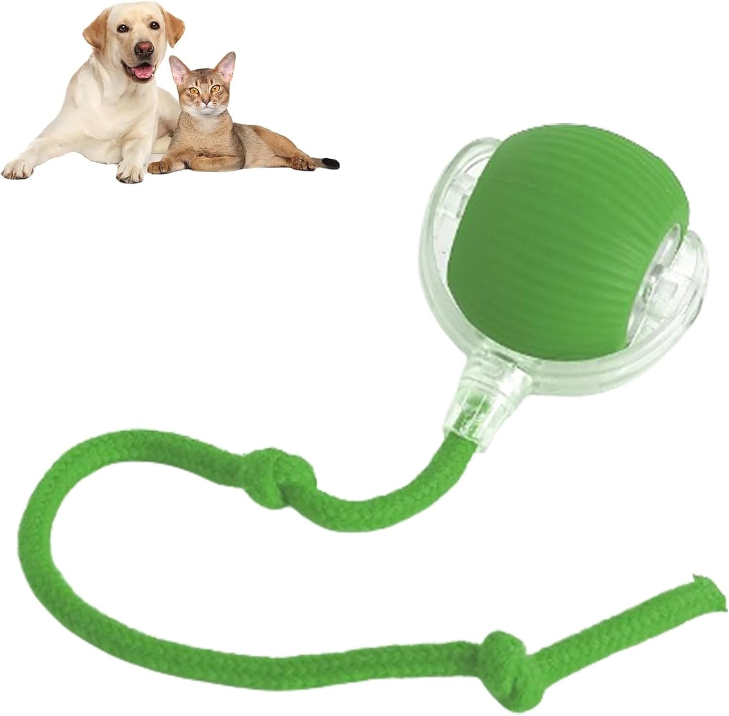 360  Smart Automatic Rolling Pet Ball