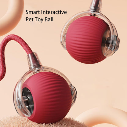 360  Smart Automatic Rolling Pet Ball